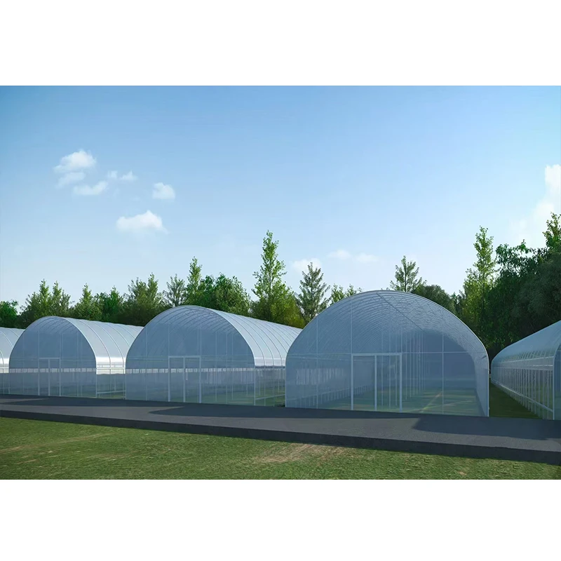 #   低コスト農場シングルスパン温室設備栽培テント完全UV - Organic Farming Of Agriculture のレビューと価格