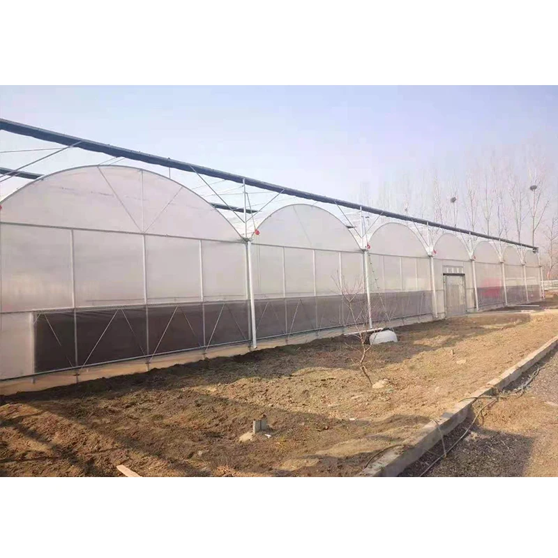 #   低コスト農場シングルスパン温室設備栽培テント完全UV - Organic Farming Of Agriculture のレビューと価格