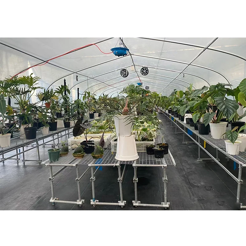 #   低コスト農場シングルスパン温室設備栽培テント完全UV - Organic Farming Of Agriculture のレビューと価格