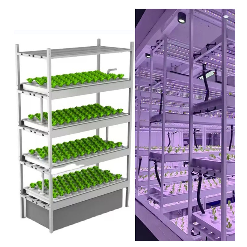 温室農業機器、きのこ、野菜、果物の栽培、垂直農場、水耕栽培タ - Agriculture Farming Systems のレビューと価格