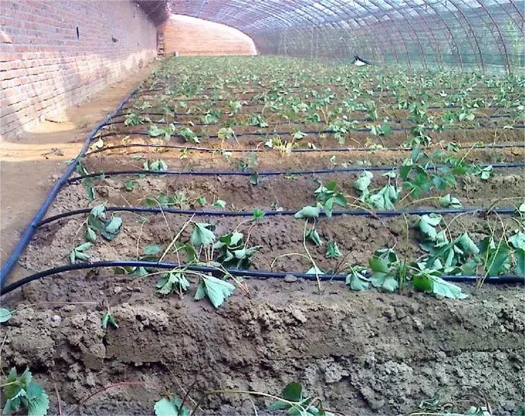 1HA灌漑キット農業用具2000m 16*0.2*50cm  - Agriculture Farming Systems のレビューと価格