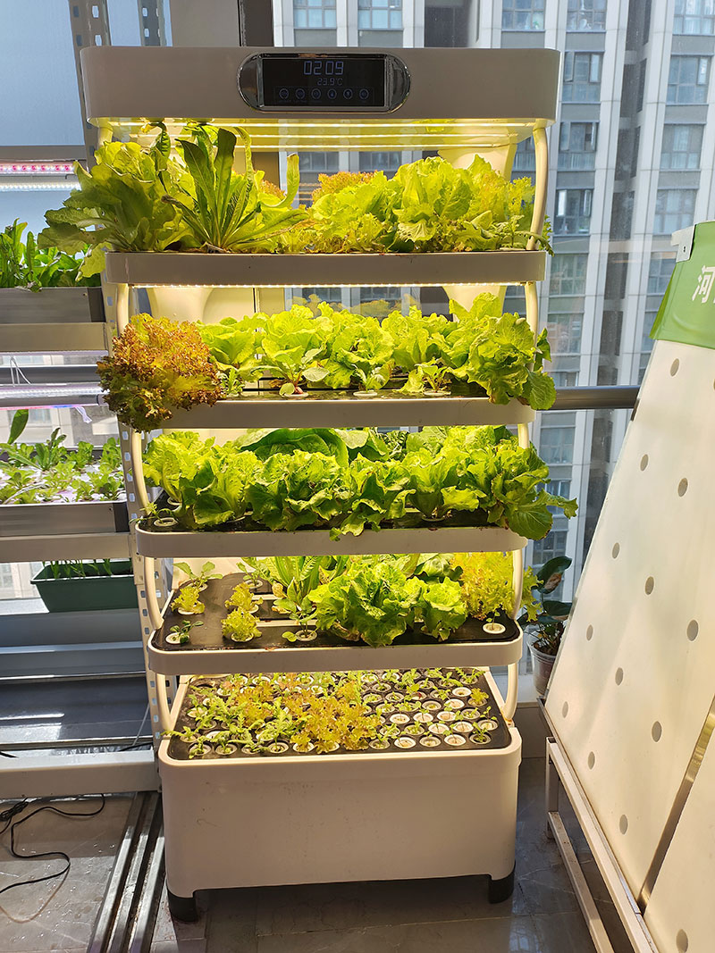野菜、レタス、イチゴを栽培するための農業機械、垂直栽培システ - Agriculture Farming Systems のレビューと価格