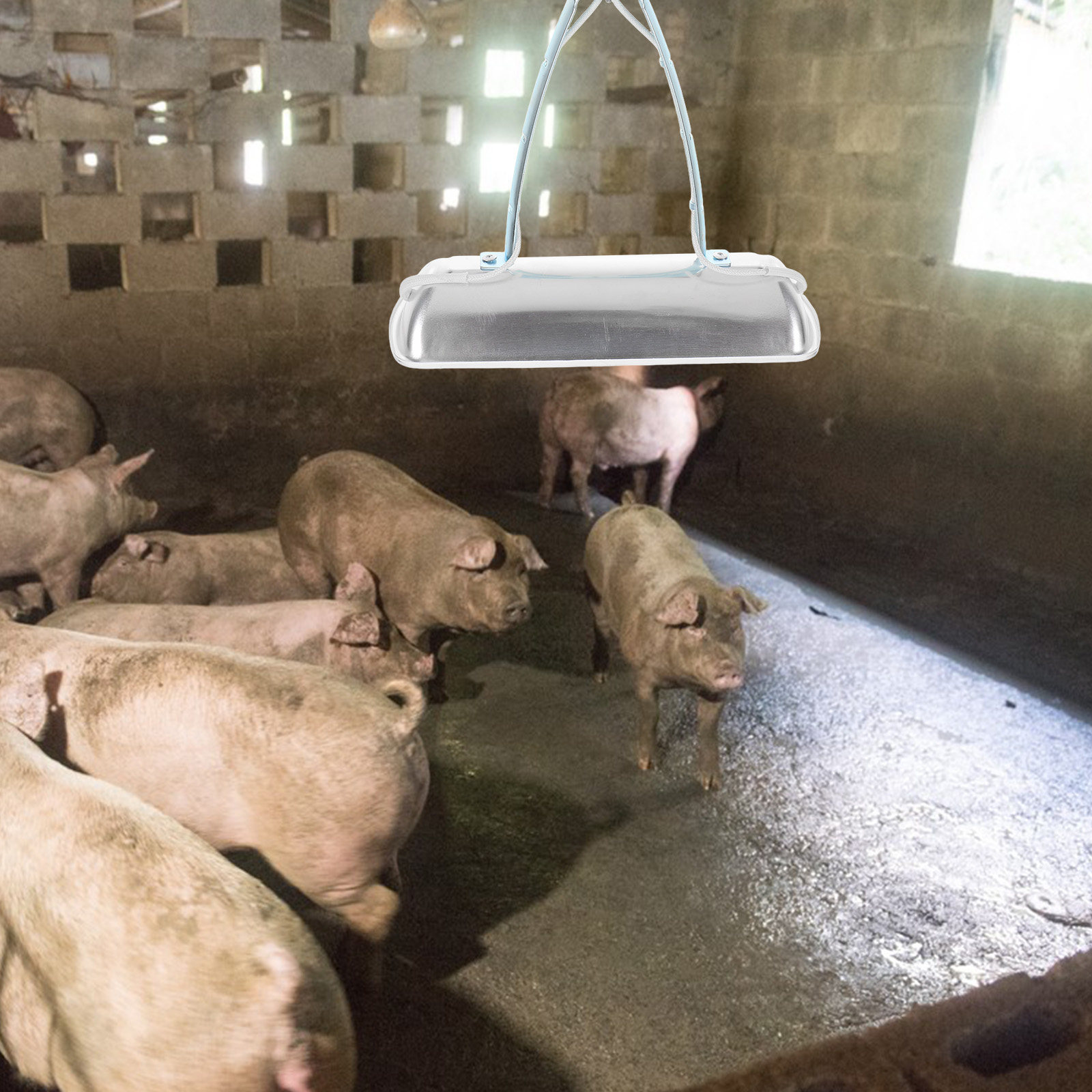 養豚場用ヒートランプ電球 E27 250W 鶏舎育雛器 爬虫 - Farming & Agriculture Word Stacks のレビューと価格
